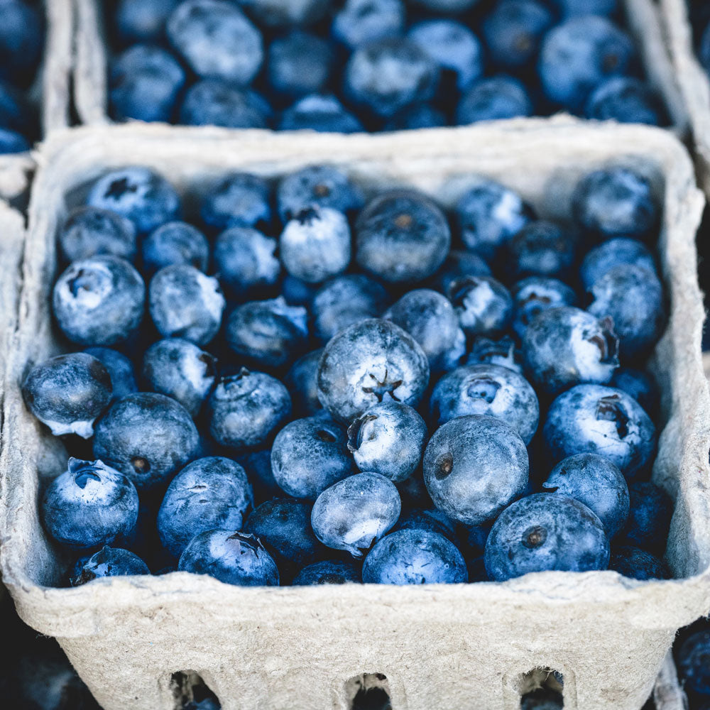 Pudwill Farm, Blueberries, Basket